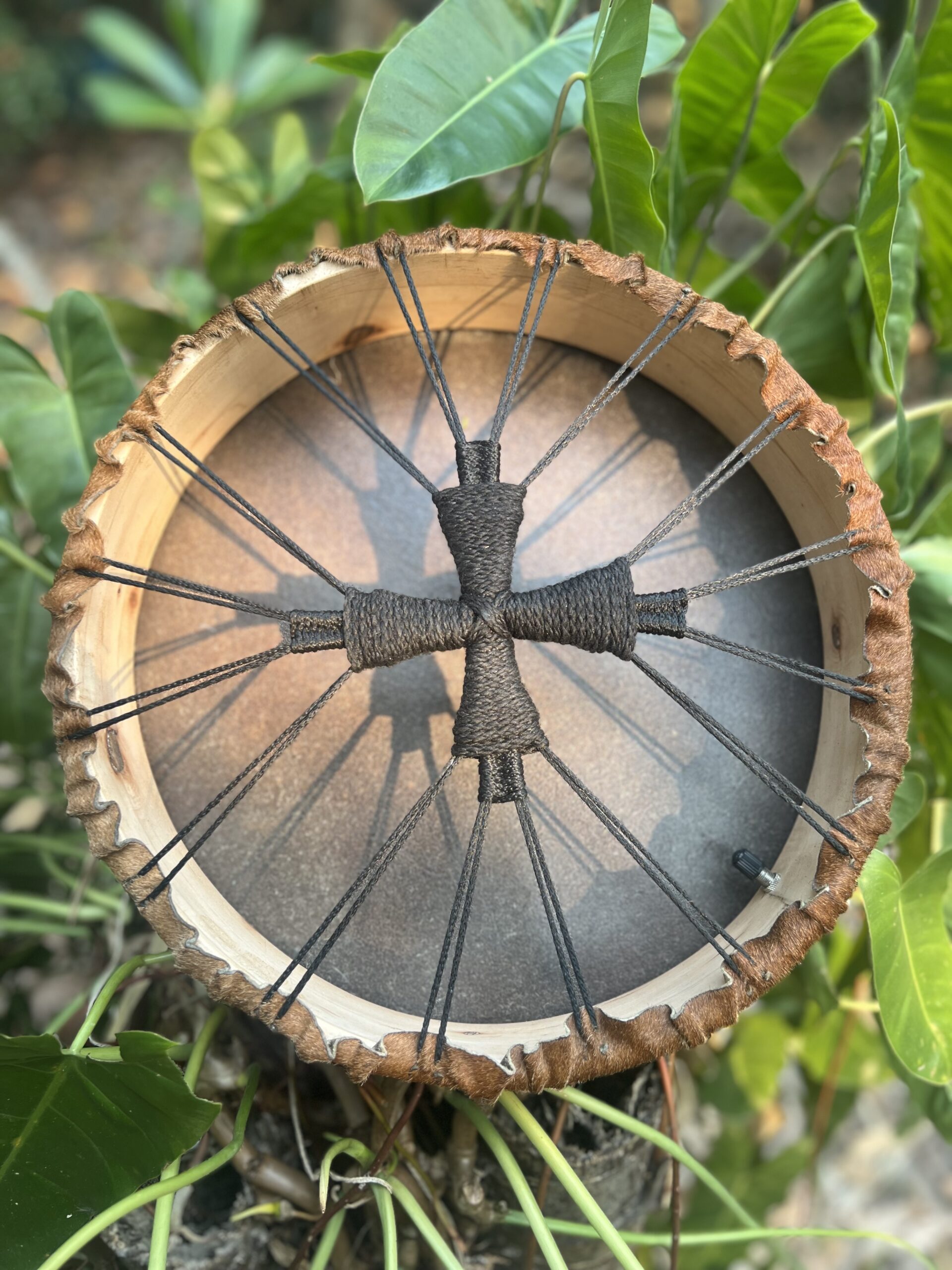Round frame drum back